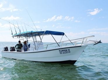 Nuevo Vallarta Fishing – Flipper IV