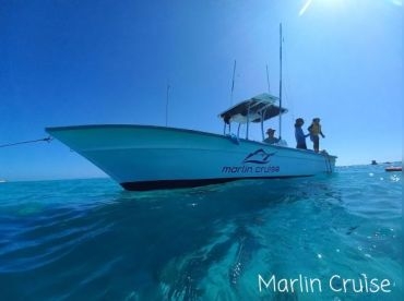 Marlin Cruise