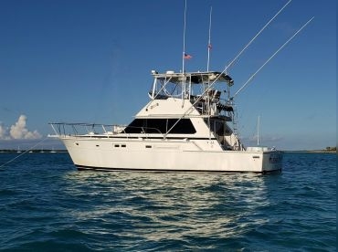 Flying Fish Charters