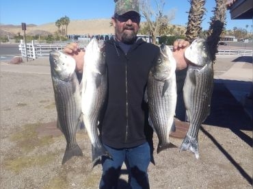 Hooked On Stripers – Lake Mead