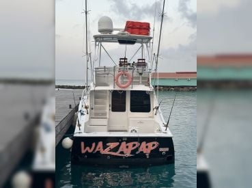 Wazapap Private Charters