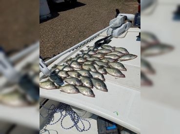Crappie Freaks Guide Service