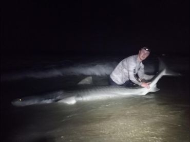NSB Shark Hunters – Sebastian Inlet