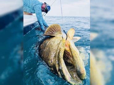 Fast Cast Fishing – Boca Grande