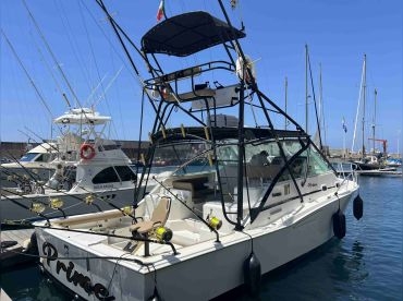 Madeira Fishing Charters – Prime