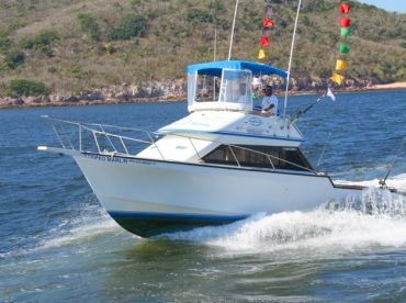 Escualo Fleet - Striped Marlin 36'